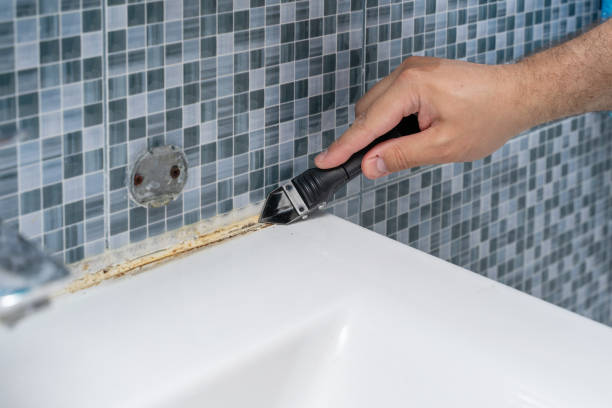 Best Office Mold Removal Services  in Keystone Heights, FL