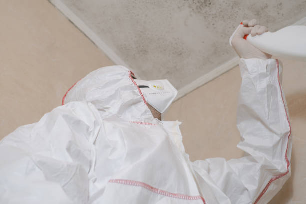 Best Toxic Mold Removal  in Keystone Heights, FL