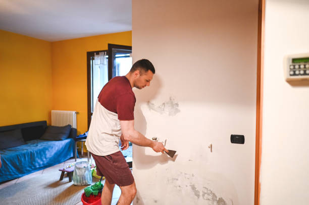 Best Mold Damage Repair  in Keystone Heights, FL